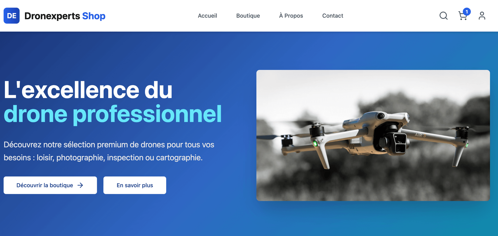 Formation Dronexperts
